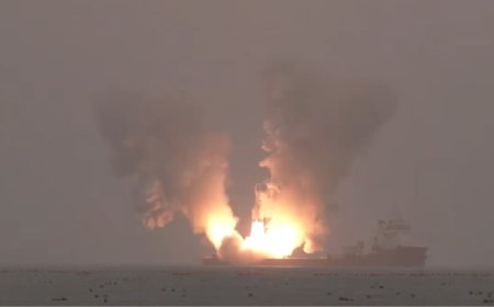 总数 141 颗全球最大：吉林一号卫星上新，分辨率达 0.5 米