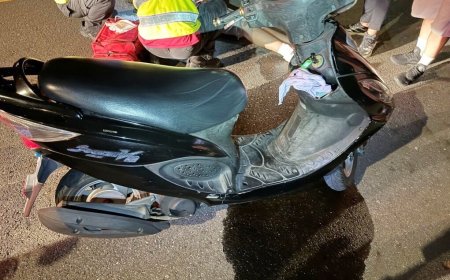 桃園阿姨遛狗不繫繩！愛犬亂衝害騎士雷殘　路人急報案