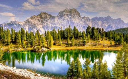 義大利山區農民受夠觀光公害　開始設旋轉門、收取通行費