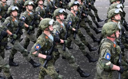 最大规模的招募行动：俄罗斯在计划什么？