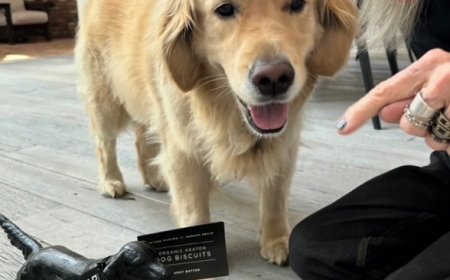 Diane Keaton’s Final Instagram Post Features Dog Reggie for National Pet Day