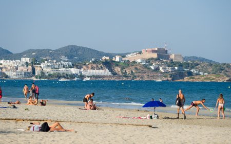 Tourist hot spot shaken after human foot washes ashore; police launch investigation: reports