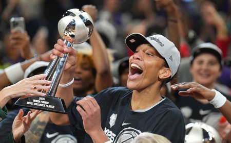 WNBA's A'ja Wilson shares heartfelt message for NBA star Bam Adebayo at Aces' title celebration