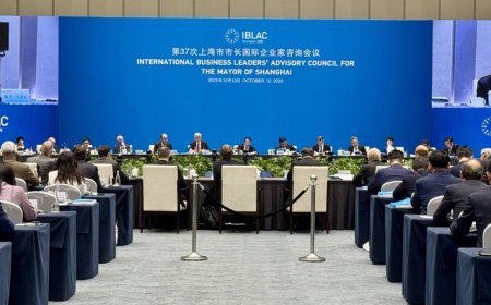 跨国公司高管们为人工智能“上海高地”支招｜第37次上海市咨会