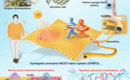 光照 12 秒就能升至 40℃，天津大学研发神奇织物实现“智能保暖”