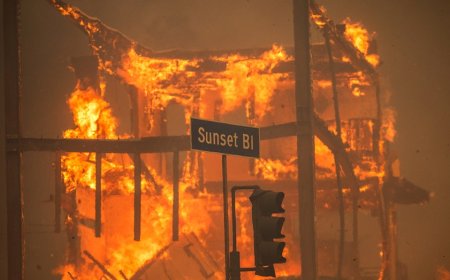 My house almost burned down in the Palisades fire. Alleged arsonist is not who I blame