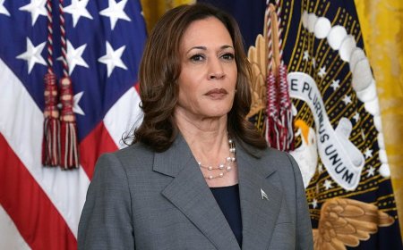 Kamala Harris alleges Trump using DOJ for ‘revenge,’ questions justice system’s integrity