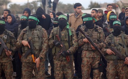 Dozens killed in Gaza as violence erupts between Hamas and armed clans