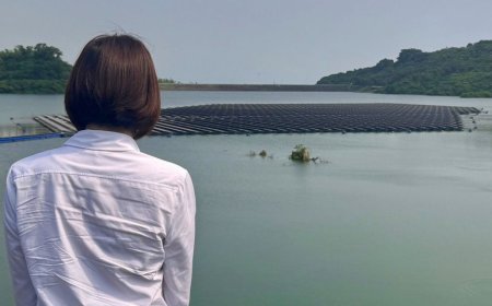 鳳山水庫「蓋滿光電板」挨轟破壞生態　經部：面積僅佔2%