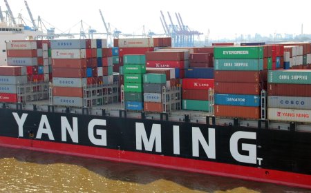 川普扮演台灣航運股救星　美宣布對中國造船隻開徵港口費　貨櫃散裝全面上漲