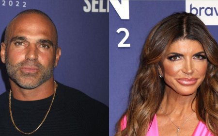 Joe Gorga Reveals What It Would Take For Him To Reconcile With His Estranged Sister Teresa Giudice