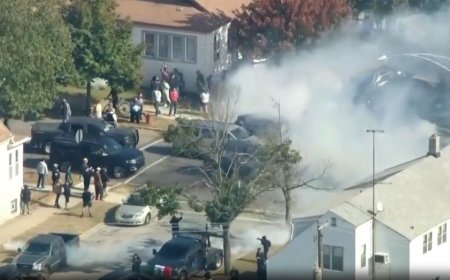 Illegal immigrants arrested after ramming Border Patrol in Chicago amid violent clash with protesters