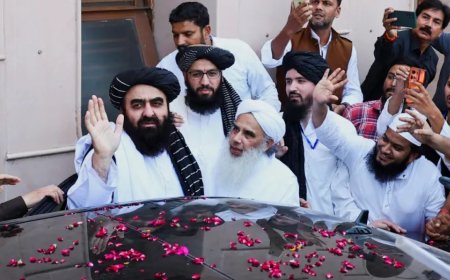 阿富汗外交部长访问印度：新德里现在为何拥抱塔利班？