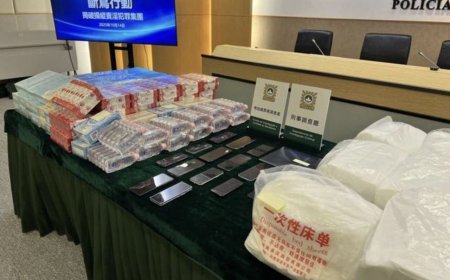 粵港澳聯合掃黃「斷鳶行動」 抓獲38名女子及44名尋芳客