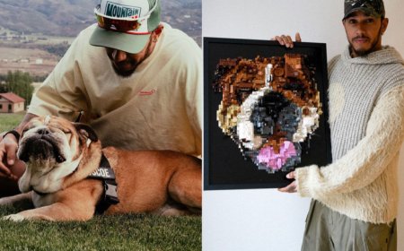 F1車手漢米爾頓痛失愛犬　粉絲以樂高拼出狗兒肖像獻安慰