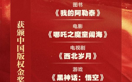 《黑神话：悟空》《哪吒 2》等获颁我国版权领域最高奖项