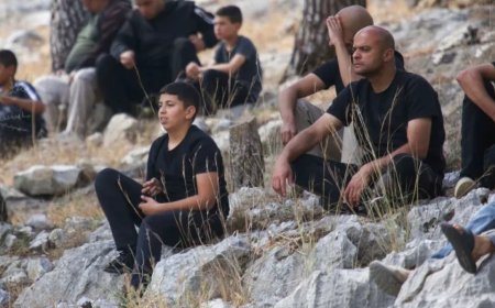 以色列在约旦河西岸图勒凯尔姆纵火、使用推土机并强迫劳动