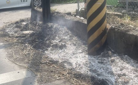 彰化芬園巷口火警！路樹燒焦險倒塌電桿也遭殃　警調監視器追兇