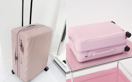 荷包又要破洞！超仙氣霧灰粉、芭蕾粉行李箱美出天際　出國登機都有風