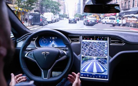 Tesla's self-driving cars under fire again
