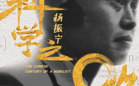 60 分钟还原杨振宁的传奇人生路，纪录片《杨振宁：百年科学之路》完整版