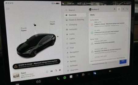 韩国近 4500 辆特斯拉 Model 3 / Y 曝出电池问题，超 1.4 万人请愿召回