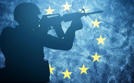 美媒：欧盟将在2030年前做好与俄开战准备
