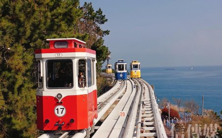 誤打誤撞遇上櫻花季尾聲　韓國第二大城釜山成獨旅新熱門