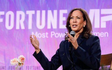 Kamala Harris says Biden made 'big mistake' by not inviting Musk to EV event in 2021
