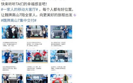 28.58 万元起，长城魏牌高山 7 中大型 MPV 首批车主交付