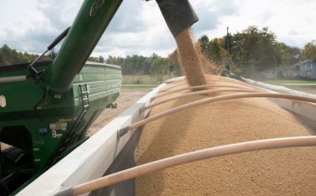 食品和燃料：美中之间的新战场