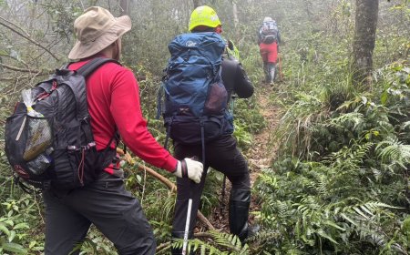 山友失聯第3天！宜蘭警消第三度入阿玉山　雨勢滂沱搜救難度高