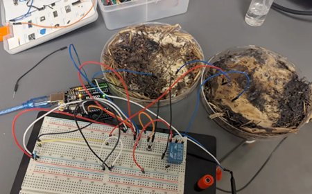 科学家利用香菇菌丝制造出新型忆阻器，抗辐射还能降解