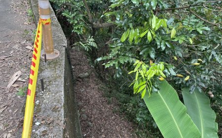 台中霧峰繩綁白骨屍！凶嫌落網了　目擊者曝遺體慘況：剩一個頭殼