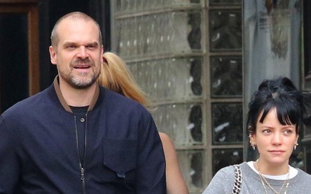 Lily Allen Hints At Moving On From David Harbour Amid Cheating Allegations But Has One Rule For Her New Man