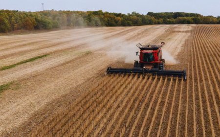 America’s quietest crop is set to take center stage in Trump-Xi talks