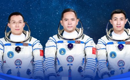 神舟二十一号3名航天员确定，明晚将携带4只小鼠飞向太空