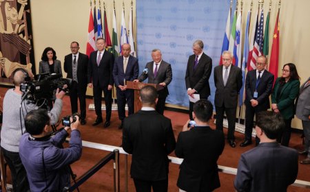 乌克兰危机“和平之友”小组举行大使级会议