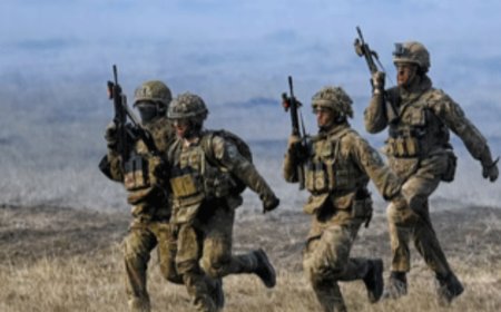 美国拟削减北约东翼驻军，“欧洲必须保障自身”