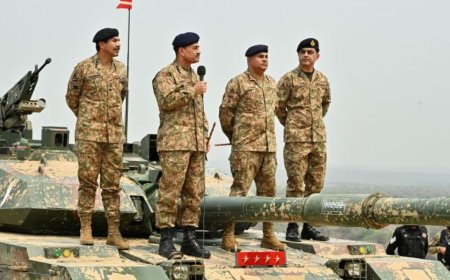 我们对巴基斯坦大胆而谨慎的举动了解多少？