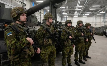 爱沙尼亚公司如何为应对俄罗斯对欧洲大陆的威胁做出贡献？