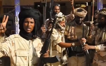 “骇人听闻的暴行”：阿拉伯国家谴责苏丹快速支援部队在法希尔制造的屠杀