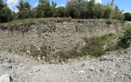 地主違法採砂遭重罰千萬　屏東執行分署查封拍賣高樹土地