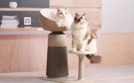 LG最新空氣清淨機竟有貓咪坐墊　還有專屬「放鬆模式」寵毛孩無極限 