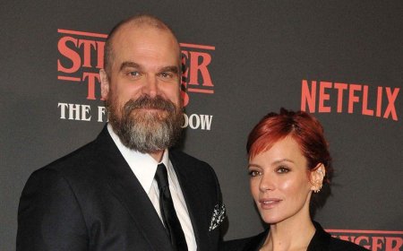 Lily Allen Gains Surprising Support Amid David Harbour Cheating Allegations