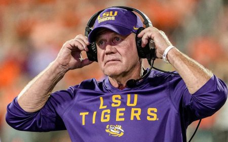 Brian Kelly faces harsh criticism from LSU football staffers after dismissal