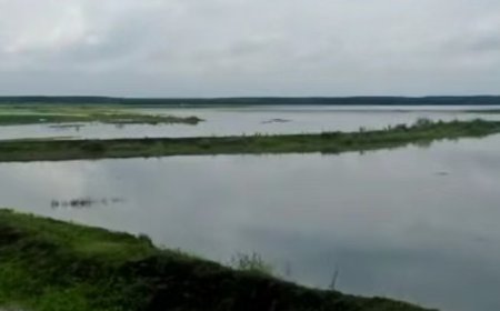 法治面 | 内蒙古8700亩行洪区土地承包后被淹，谁该担责？