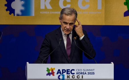 加拿大卡尼和中国习近平迈出修补关系的一步