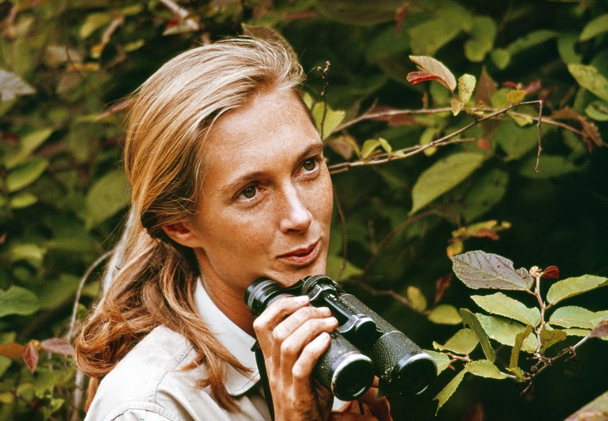 Conservationist Jane Goodall Dead at Age 91 Amid Speaking Tour
