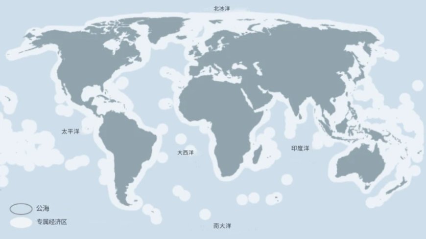 声援加沙的全球坚韧船队:以色列如何违反了国际海事法?